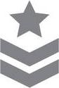 军事符号图标(星形在两个堆叠的字形上方)